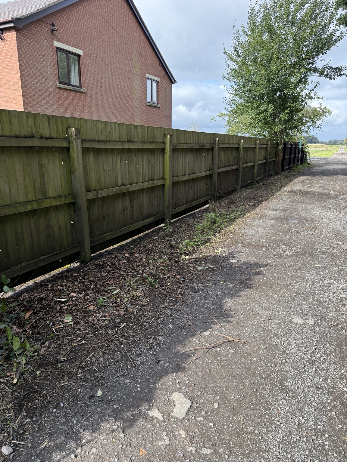 Fence before maintenance, showing weathered timber