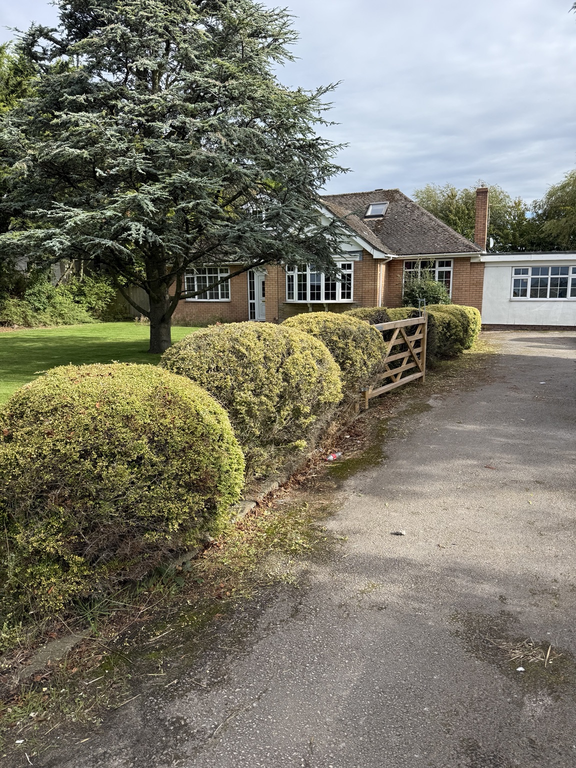 Maintained shrubs and garden around a residential driveway