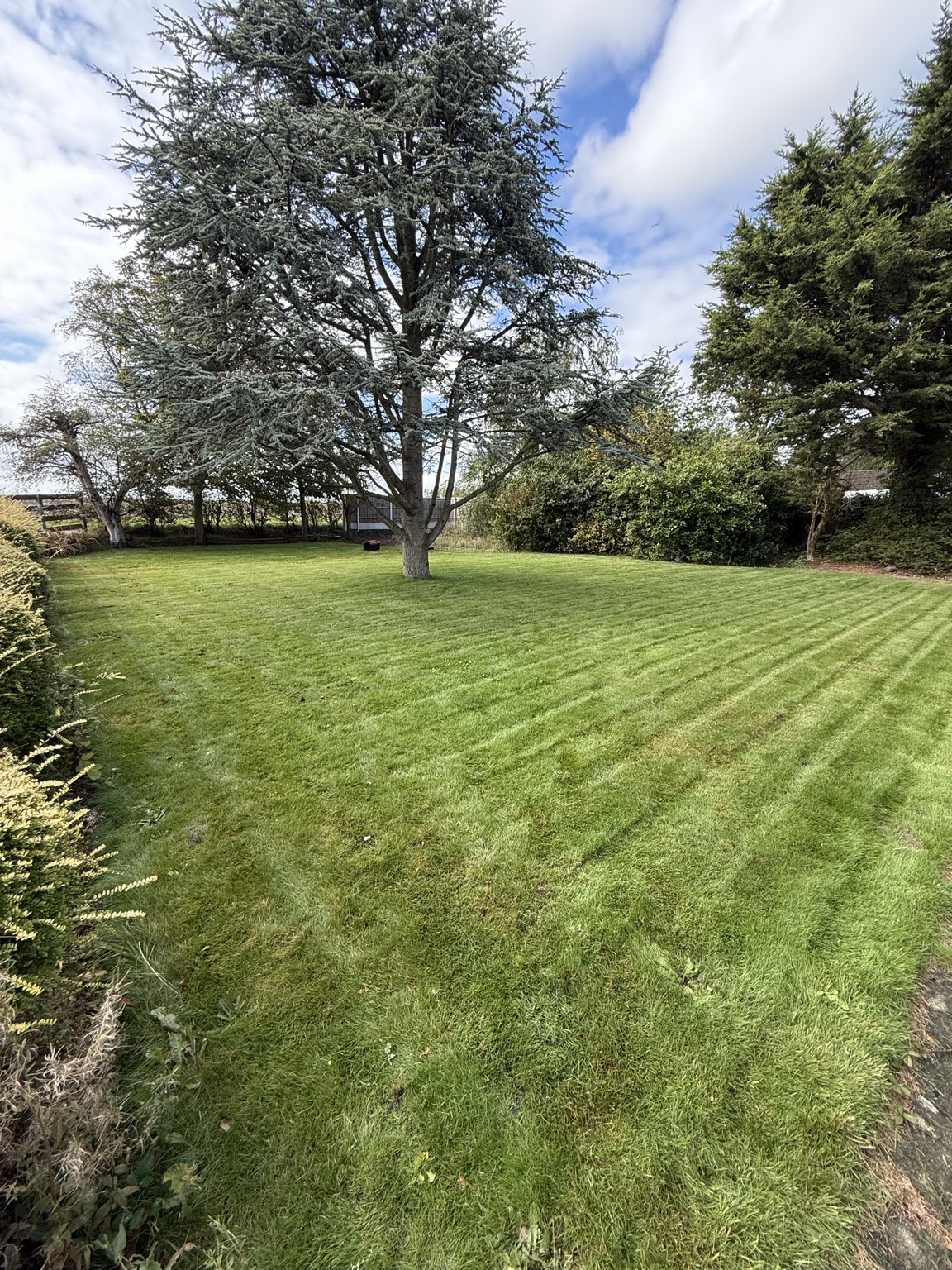A lawn freshly cut by TGEA, with neat stripes beneath mature trees